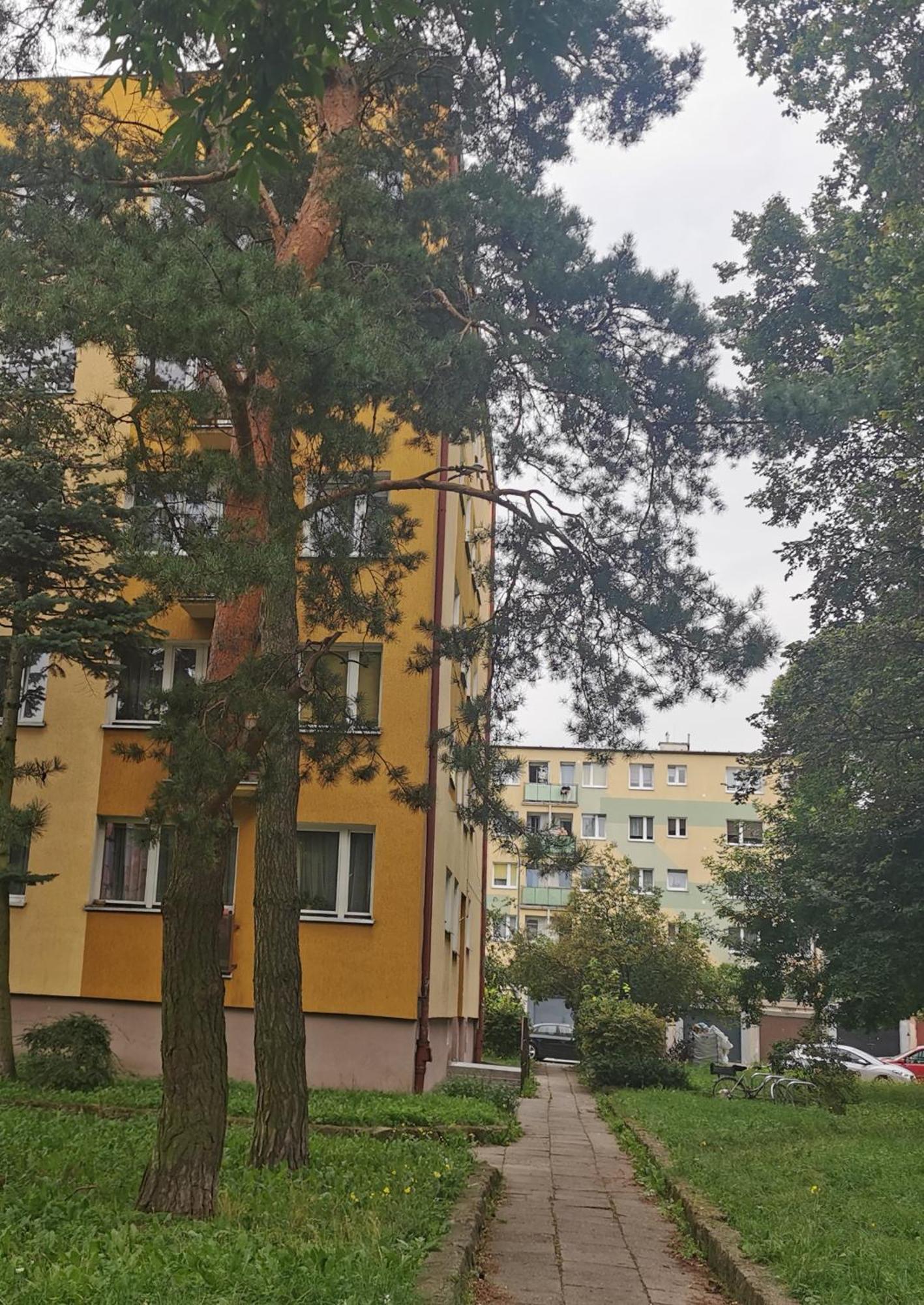 Mieszkanie Brzezno Przy Plazy 格但斯克 外观 照片